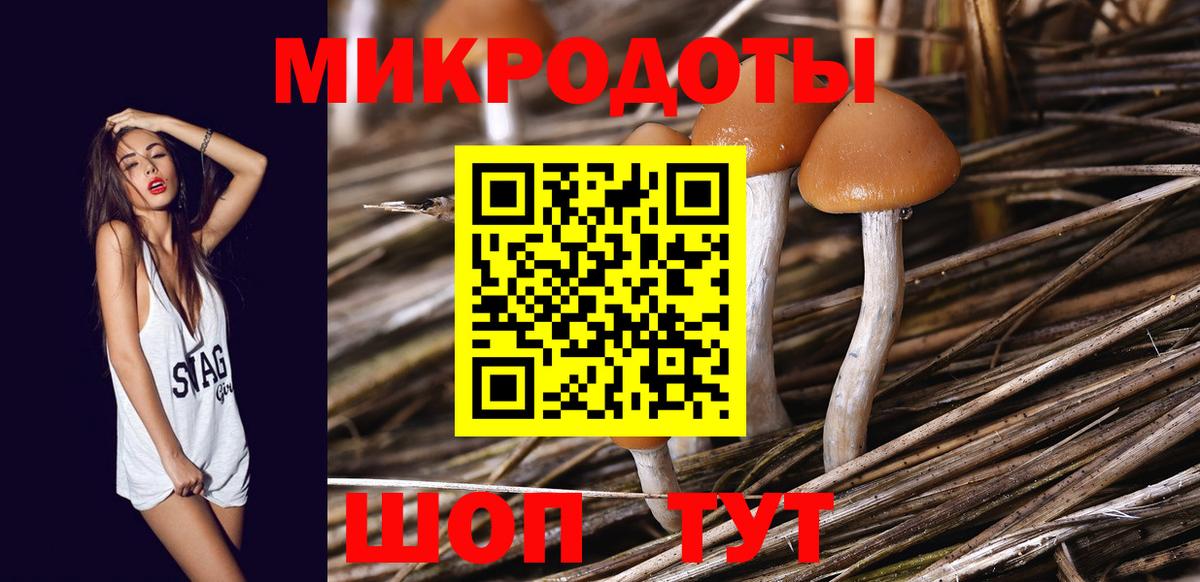 Псилоцибиновые грибы мицелий  Вход с VPN  Новошахтинск  Галлюциногенные грибы GOLDEN TEACHER 