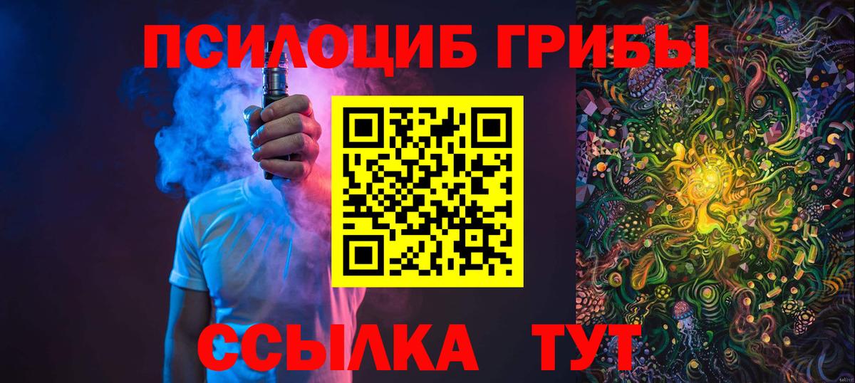 Псилоцибиновые грибы Psilocybe Новошахтинск